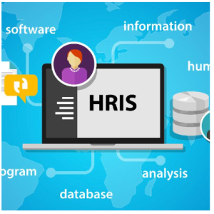 Human Resource Information System Modification